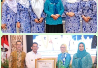 Gubernur Ansar Ahmad Ajak Masyarakat Gunakan Antibiotik Secara Bijak untuk Cegah Resistensi